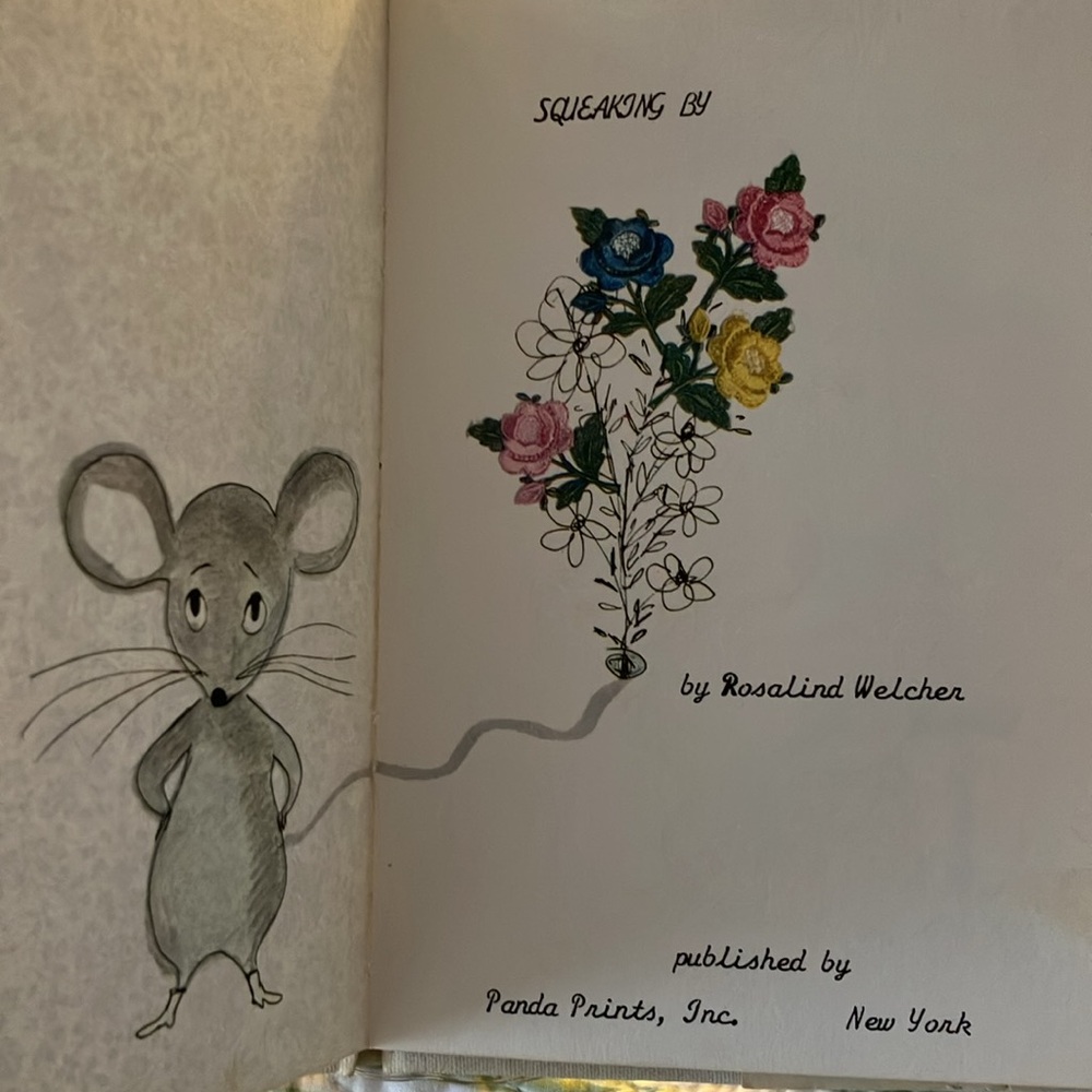 SQUEAKING BY by   ROSALIND WELCHER Panda Prints , Inc NY hardcover book - Picture 8 of 16